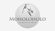 Moholoholo logo